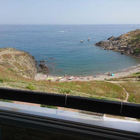 Ferienwohnung Portvendres Sea View Port Vendres Exterior foto
